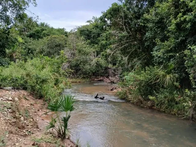 Imagem 3: Chácara 8 Hectares
