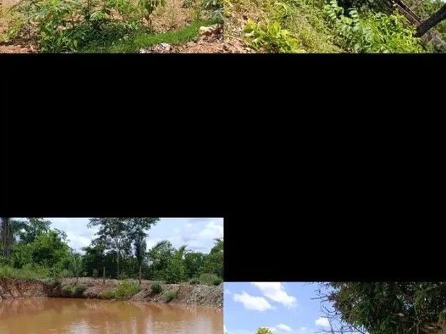 Imagem 1: Sítio 8 Km de Livramento 21Hc