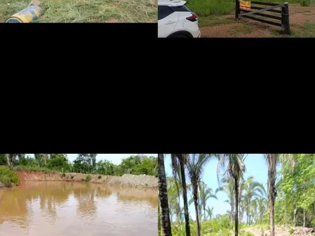 Imagem 10: Sítio 8 Km de Livramento 21Hc