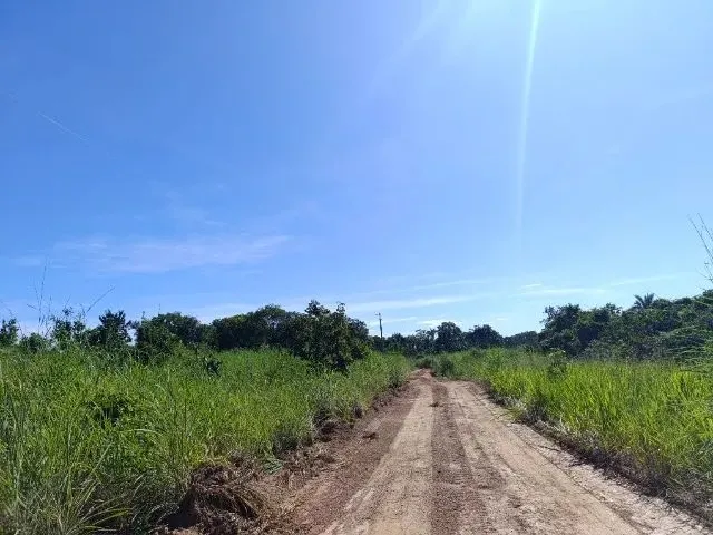 Imagem 2: Sítio 8 Km de Livramento 21Hc
