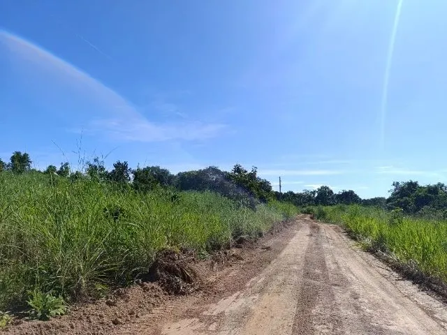 Imagem 6: Sítio 8 Km de Livramento 21Hc