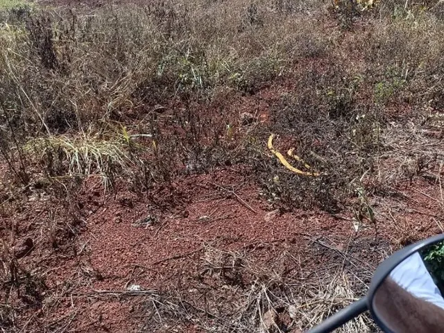 Imagem: O terreno possui 360m² de Área e está localizado em