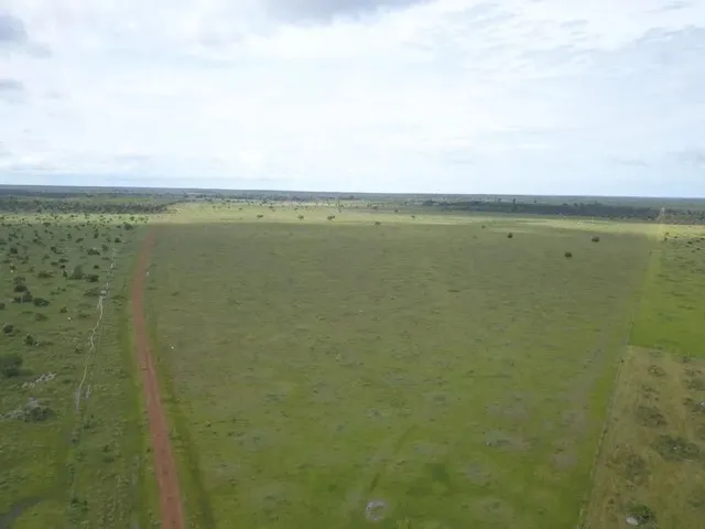 Imagem: A fazenda possui 1.200m² de Área e está localizado em