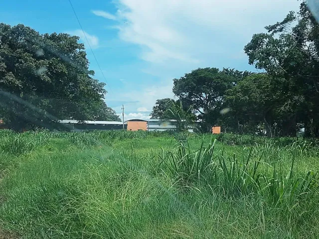 Imagem 3: Fazendacde Arrendamento 1.200 Hec Plantando em Pontes de Lacerda Mt