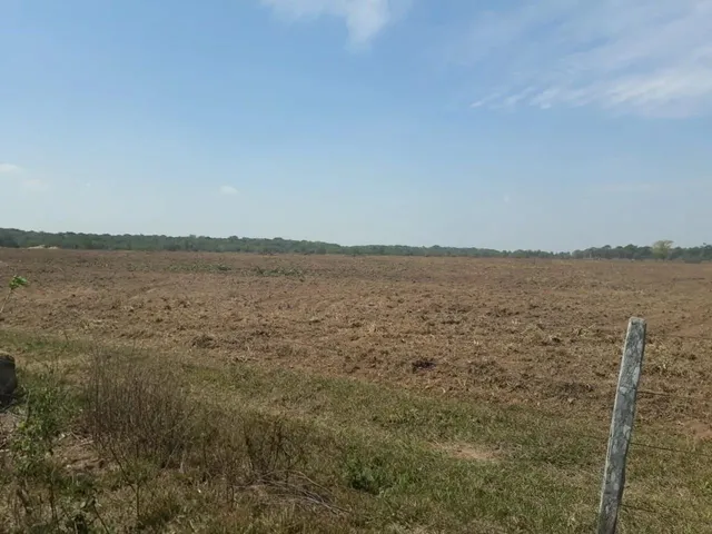Imagem 6: Fazendacde Arrendamento 1.200 Hec Plantando em Pontes de Lacerda Mt