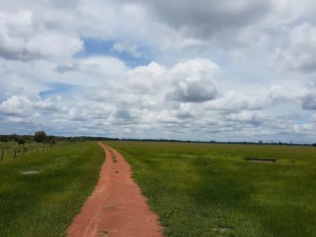 Imagem 7: Fazendacde Arrendamento 1.200 Hec Plantando em Pontes de Lacerda Mt