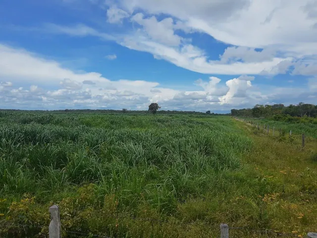 Imagem 9: Fazendacde Arrendamento 1.200 Hec Plantando em Pontes de Lacerda Mt