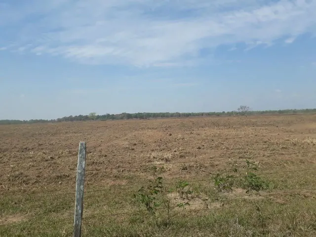 Imagem 11: Fazendacde Arrendamento 1.200 Hec Plantando em Pontes de Lacerda Mt