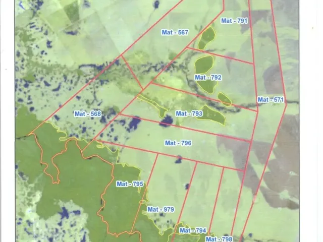 Imagem 14: Fazendacde Arrendamento 1.200 Hec Plantando em Pontes de Lacerda Mt
