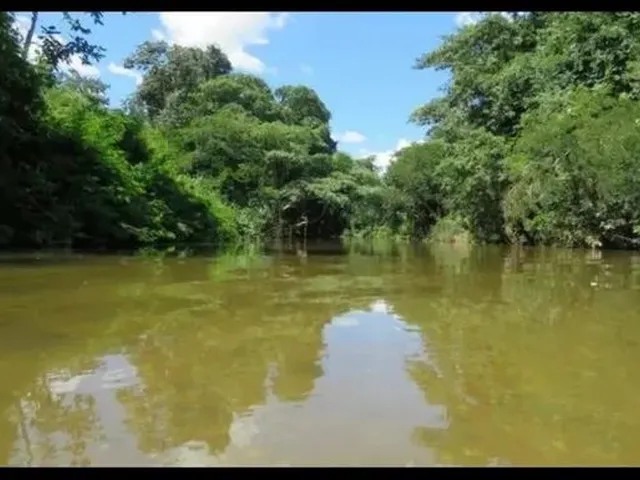 Imagem 4: Baixou P Vender Pego Veículo Chácara Aguaçu Beira de Rio