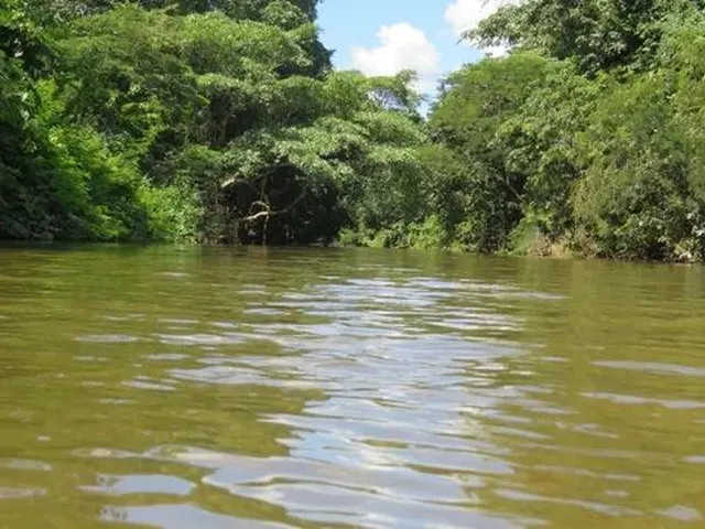 Imagem 13: Baixou P Vender Pego Veículo Chácara Aguaçu Beira de Rio