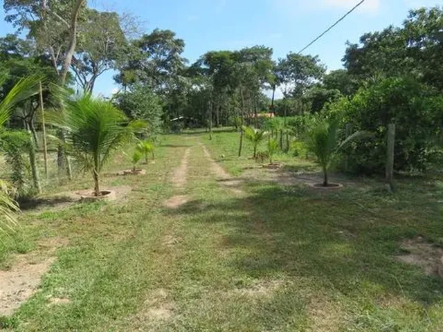Imagem 15: Baixou P Vender Pego Veículo Chácara Aguaçu Beira de Rio