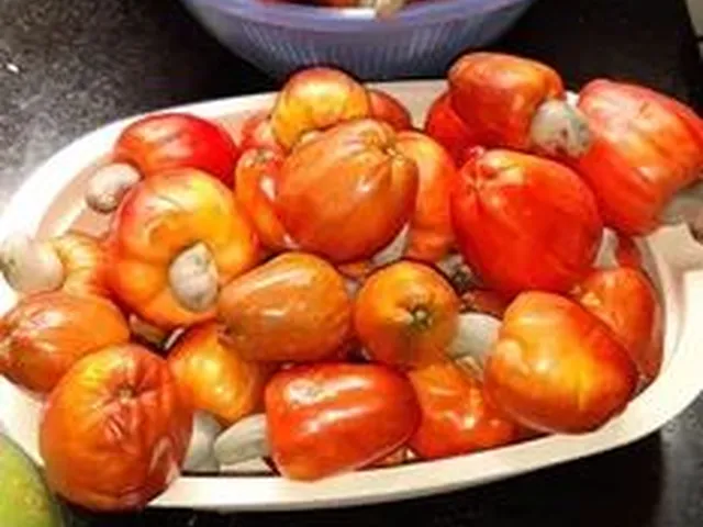 Imagem 10: Baixou P Vender Pego Veículo Chácara Aguaçu Beira de Rio