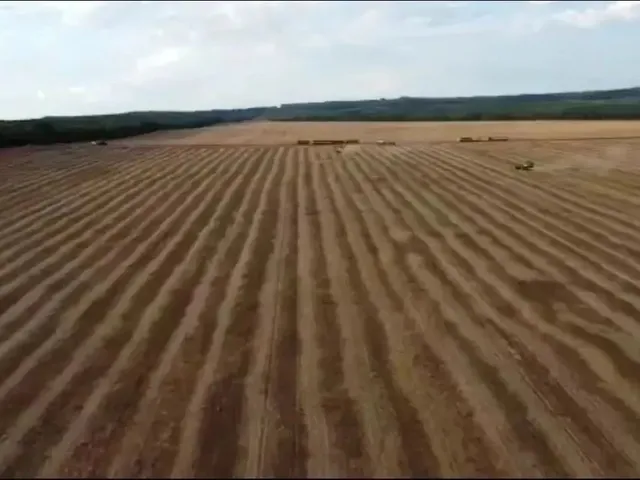 Imagem 6: Fazenda a Venda em Nova Mutum - Mt