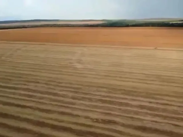 Imagem 9: Fazenda a Venda em Nova Mutum - Mt