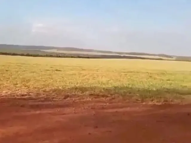 Imagem 4: Fazenda a Venda em Nova Mutum - Mt