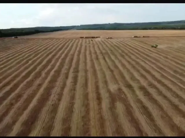 Imagem 2: Fazenda a Venda em Nova Mutum - Mt