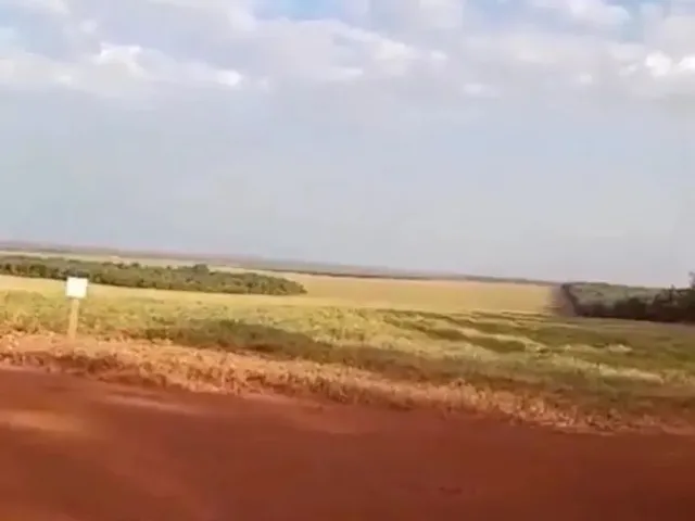 Imagem 5: Fazenda a Venda em Nova Mutum - Mt