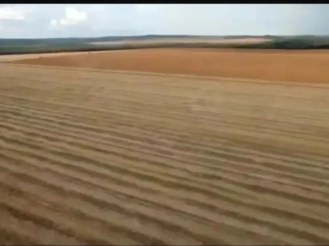Imagem 3: Fazenda a Venda em Nova Mutum - Mt