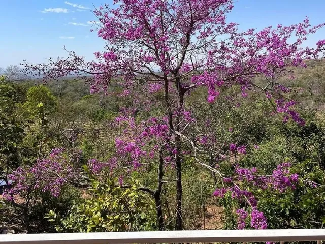 Imagem 10: Belíssima Chácara a 5Km de Chapada dos Guimarães - Mt