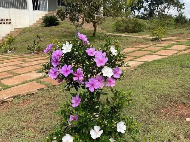 Imagem 16: Belíssima Chácara a 5Km de Chapada dos Guimarães - Mt