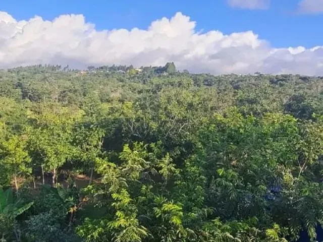 Imagem 9: Belíssima Chácara a 5Km de Chapada dos Guimarães - Mt