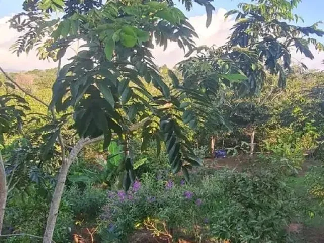 Imagem 4: Belíssima Chácara a 5Km de Chapada dos Guimarães - Mt