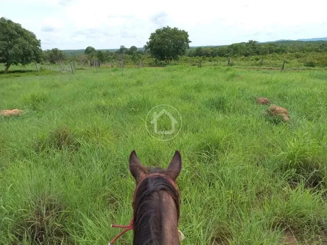 Imagem 1: Propriedade Produzindo - 70 Km de Cuiabá