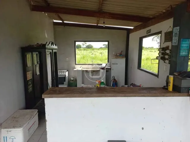 Imagem 5: Propriedade Produzindo - 70 Km de Cuiabá