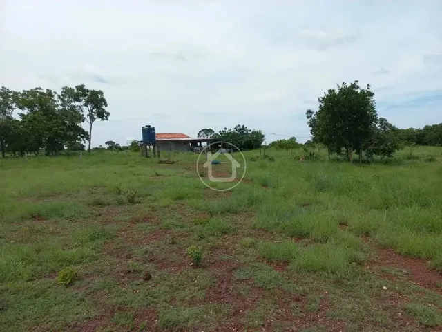 Imagem 8: Propriedade Produzindo - 70 Km de Cuiabá