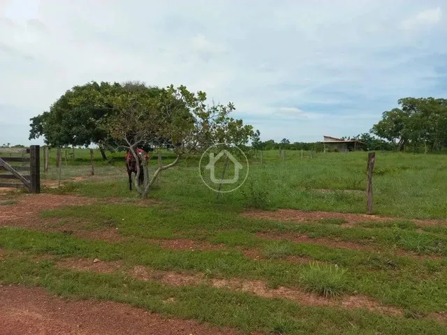 Imagem 14: Propriedade Produzindo - 70 Km de Cuiabá