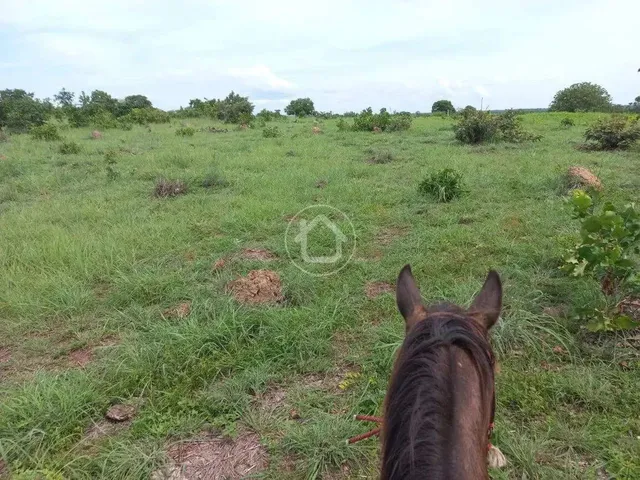 Imagem 15: Propriedade Produzindo - 70 Km de Cuiabá