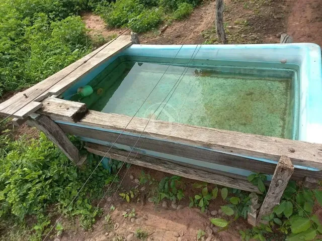 Imagem 16: Propriedade Produzindo - 70 Km de Cuiabá