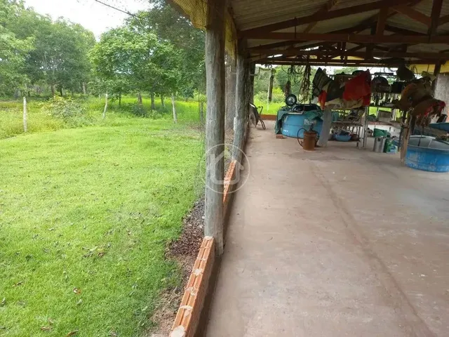Imagem 7: Propriedade Produzindo - 70 Km de Cuiabá