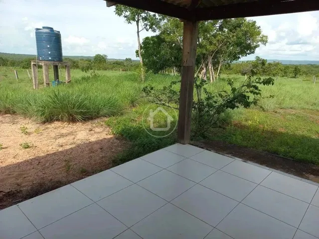 Imagem 13: Propriedade Produzindo - 70 Km de Cuiabá