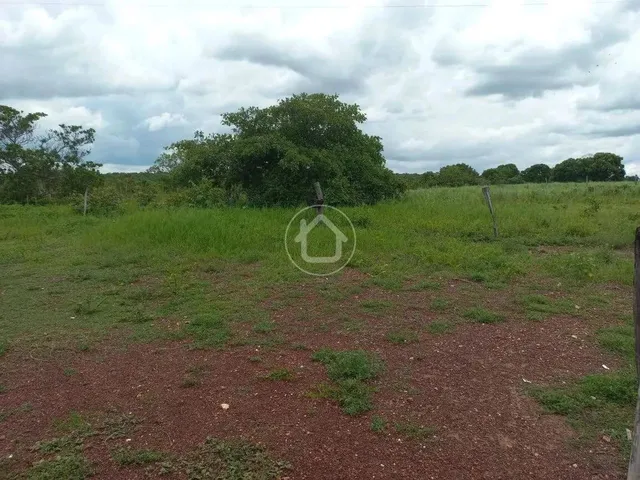Imagem 10: Propriedade Produzindo - 70 Km de Cuiabá