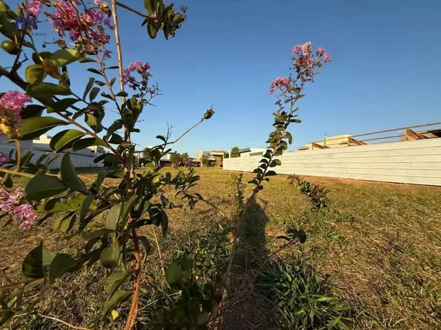 Imagem 9: Terreno À Venda 381,16 M² por R$ 400.000,00 - em Condomínio Florais da Mata - Avenida