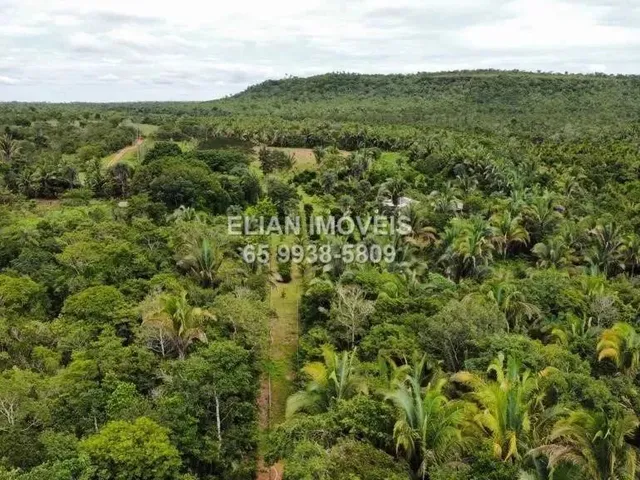 Imagem: Chácara Paradisíaca 7 Hectares, Rio Canjira