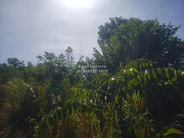 Imagem: Terreno À Venda em Zona Rural em Santo