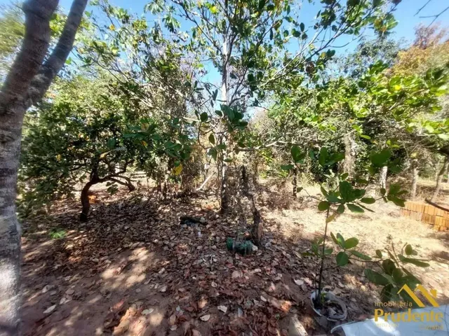 Imagem 13: Sítio para Venda em Chapada dos Guimarães, Chapada dos Guimaraes, 4 Dormitórios, 3