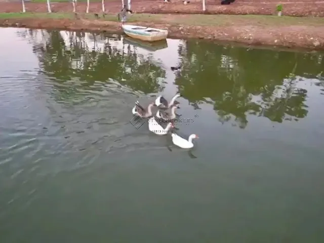 Imagem 7: Chácara À Venda no Parque Mirela - Cuiabá