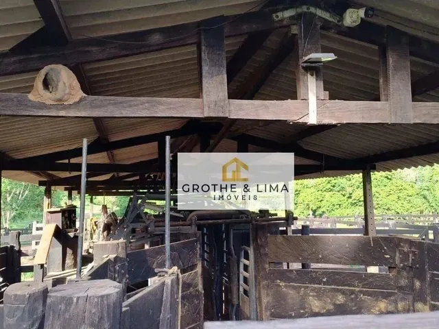 Imagem 3: Fazenda À Venda em Cáceres Mt