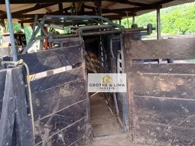 Imagem 2: Fazenda À Venda em Cáceres Mt
