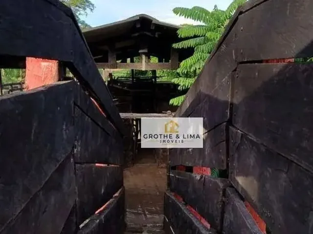 Imagem 5: Fazenda À Venda em Cáceres Mt
