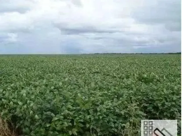 Imagem 4: Fazenda (6.402 Hectares), Sede Espetacular, Totalmente Equipada para Operação E