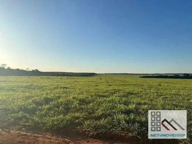 Imagem 6: Fazenda (6.402 Hectares), Sede Espetacular, Totalmente Equipada para Operação E