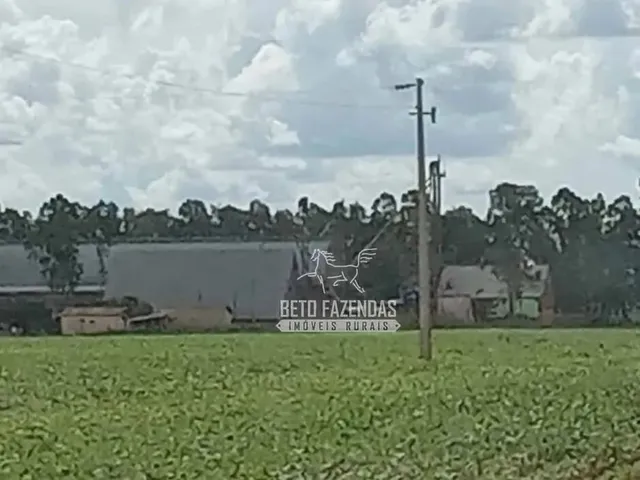 Imagem: Imóvel para Venda Tem 150000000 Metros