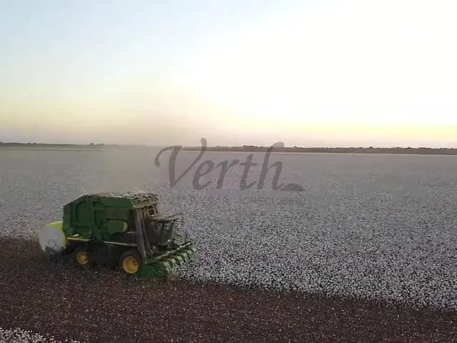 Imagem 1: Fazenda À Venda 3.300 Ha Nova Mutum -Mt
