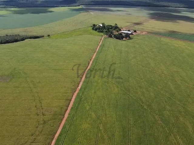 Imagem 1: Fazenda À Venda, 1400Ha, Nova Mutum, - Mt