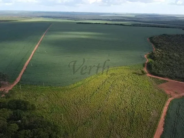 Imagem 2: Fazenda À Venda, 1400Ha, Nova Mutum, - Mt